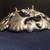 Decorative metal leaf bowl 11 inches 8 thumbnail