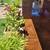 LANDSCAPING INT/EXT PAINTING MACHADO BROTHERS LLC 5 thumbnail