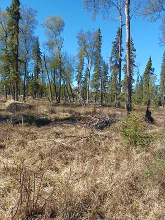 $185,000 / 362855ft2 - Listing #25-511 ATTENTION ALL PILOTS, AIRPARK OPPORTUNITY! (Kasilof)64004785021825122