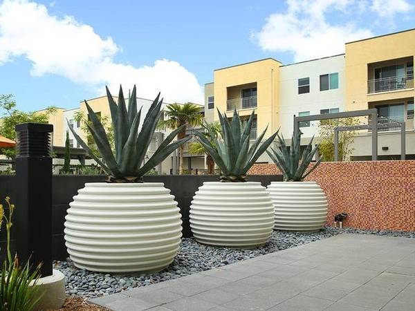 $2,699 / 1br - 730ft2 - Una visita obligada, piscina y spa de estilo resort, balcón o terraza privados (Oxnard)63800474354817124