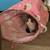 Cat need a home 2 thumbnail