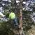 GARY'S TREE  SERVICE🌳🌳🌳🌳🌲🌲🌲 1 thumbnail
