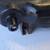 Mazda Miata NB OEM radiator (60k miles) 3 thumbnail
