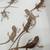 Bearded Dragon Baby's 8 thumbnail