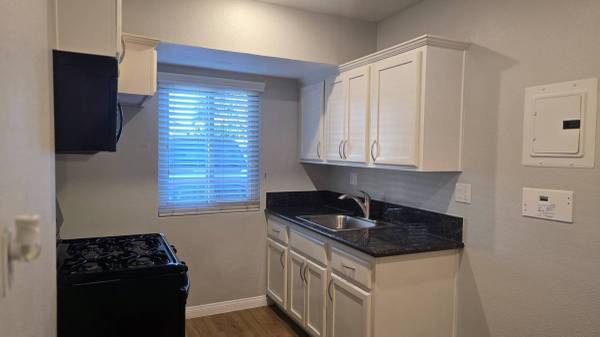 Stunning and Spacious Studio Ready for the Holidays! 1