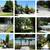 2BR / 2 BA Condo for Rent – 1,210 sq. ft. -  $3,250/month 1 thumbnail