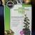 Tropical / Peaceful Water Dripping Tree- For personal enjoyment or pet 1 thumbnail