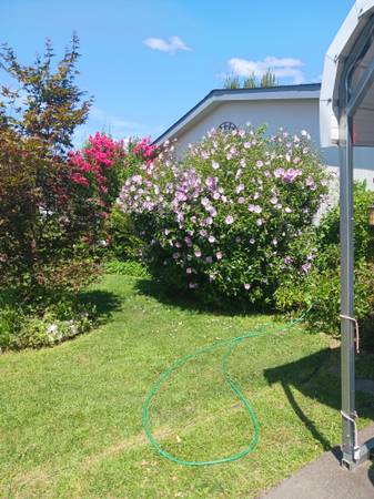 $139,900 / 3br - 1620ft2 - 2004 1620 sq. ft. Manufactured home (Grants Pass)64318773325698120