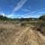 Knoll-Top Orchard Estate Setting In The Corralitos Foothills! 19 thumbnail