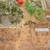 Fairy Garden Items 11 thumbnail