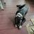 Found male dog 2 thumbnail