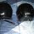 Harley Helmets 4 thumbnail