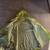 Excellent insulated hooded rain coat and bibs. Large. U 3 thumbnail