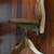 Antique Oak Anatomic Comfort Chair on Castors 8 thumbnail