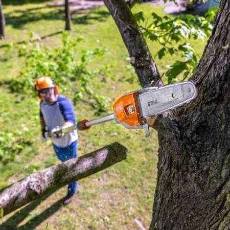 Tree work 1