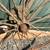 Steel wheel antique 2 thumbnail
