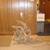 VINTAGE DRIFTWOOD TABLE LAMP 4 thumbnail