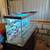 50 gallon fish tank 3 thumbnail