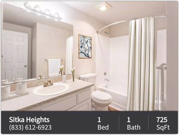 $1,750 / 1br - 725ft2 - A home for everyone - even your pets! Pet friendly 1 bed / 1 bath! (Fife)63934550045186123