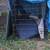 XXL Dog Cage 2 thumbnail