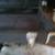 Bass guitar hardshell case 3 thumbnail