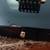 Washburn SS40 Steve Stevens Signature Electric Guitar 9 thumbnail