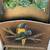 vintage/antique wood magazine rack with Parrot art and handle 1 thumbnail