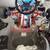 DR shifter kart 6 thumbnail