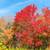 Home w/acreage Grand Marais MN 7 thumbnail
