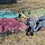 9 winter blankets and hoods & 3 summer sheets 4 thumbnail
