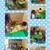 Smiley Bubbles Child Care *Great Rates* (South Coast Metro/Irvine) 2 thumbnail