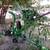 Wood Chipper 18 HP USA Made 2 thumbnail