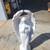 Angel Statue Solid Concrete 45 inches tall 2 thumbnail