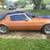 1981 firebird 1 thumbnail