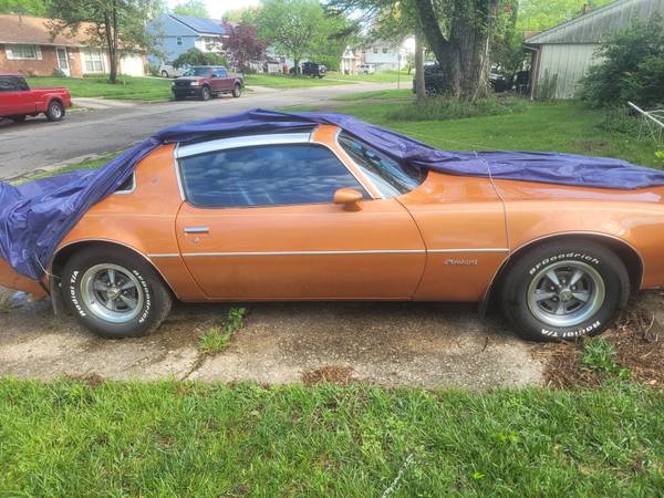 81 firebird 1