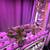 Complete functional indoor hydroponic and aeroponic starter setup 2 thumbnail
