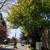 2 Bed 1 Bath - CALL & EXPERIENCE COMFORT - Plenty of Closet Space 6 thumbnail