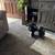 Havanese 2 thumbnail