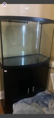 Fish tank592103426753843205