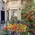2 bedrooms available in 1200 sf 3-bedroom apartment starting Oct 1 2 thumbnail