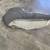 2003-08 Suzuki LTZ400 Seat / Headlight / Plastics 2 thumbnail
