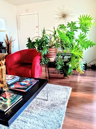 $610 / 2br - MAINTAINED HOME OFFERING PRIVATE BEDROOM AND BATH BRIGHT (Lawrenceville)63736258196481121