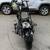 2021 Harley Davidson Forty Eight XL1200X Sportster 6 thumbnail
