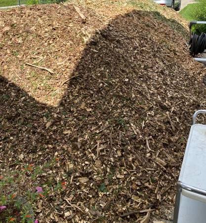 free wood chips / mulch 1