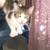 Polydactyl cats 3 thumbnail