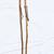 3 hand carved hardwood walking hiking sticks $10 each 6 thumbnail