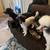 miniature poodle 4 thumbnail