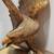 Museum-Quality Hand-Carved Wooden Bald Eagle – Odyssey Trading Co. 18" 3 thumbnail