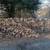 Seasoned Firewood for Sale in Berkeley Heights - Ash/Oak Self Service 1 thumbnail