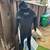 WETSUIT (4) M and MT 10 thumbnail